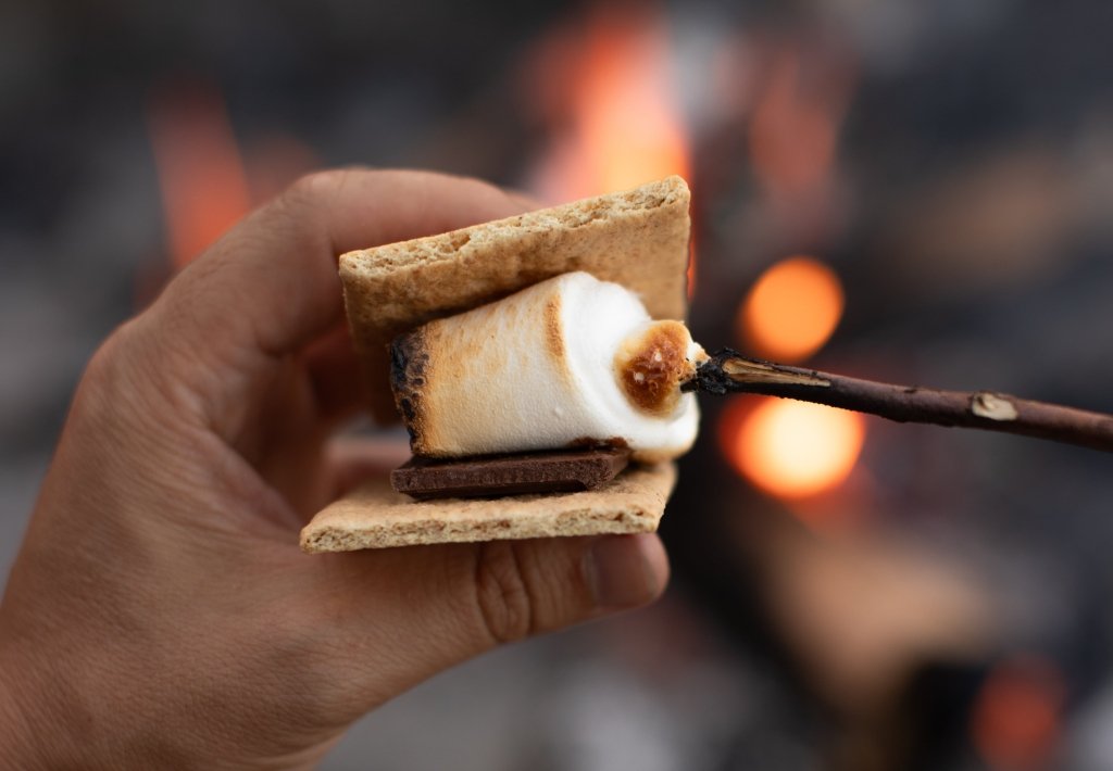 S'mores by the Fire - Wanderer's Outpost