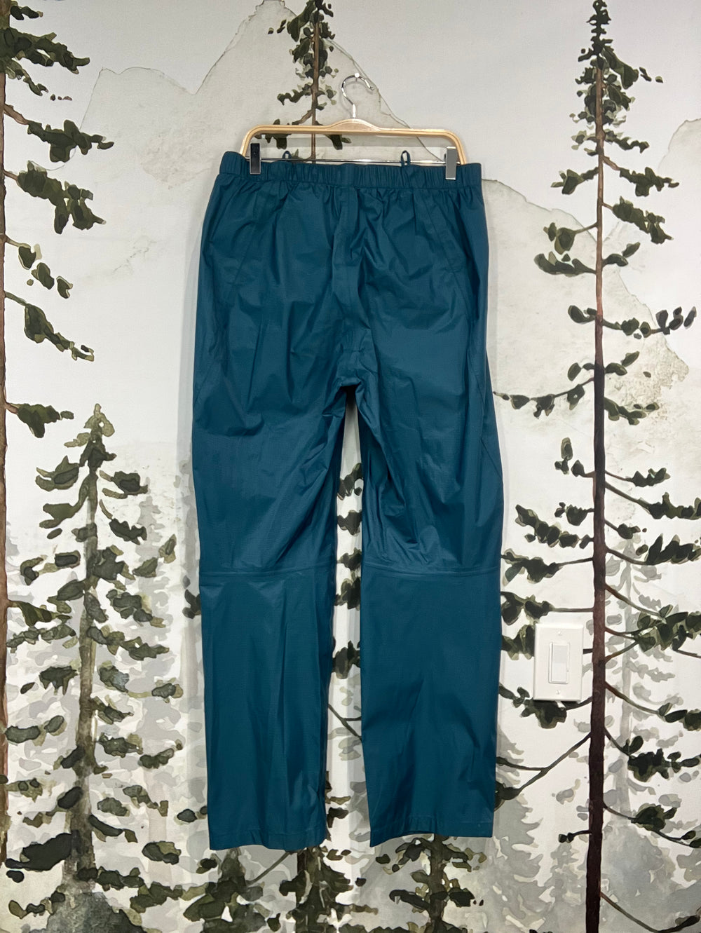 Patagonia Women's Torrentshell Pant - Wander Longer