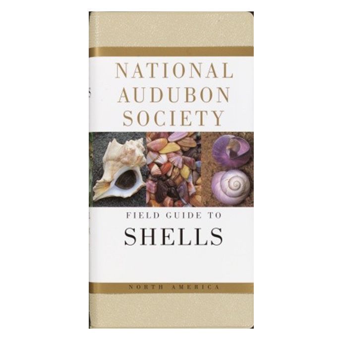 Nat Audubon Field Guide to Shells - Wanderer's Outpost