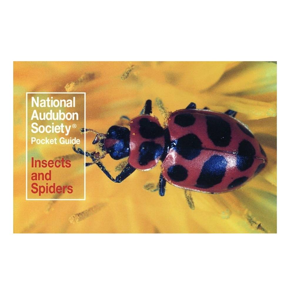 National Audubon Pocket Guide: Familiar Insects and Spiders - Wanderer's Outpost
