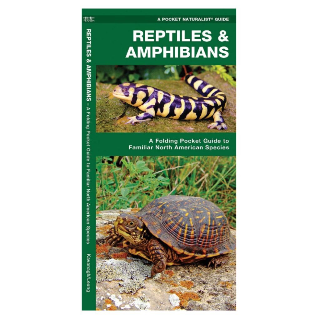 Reptiles & Amphibians: A Pocket Guide - Wanderer's Outpost