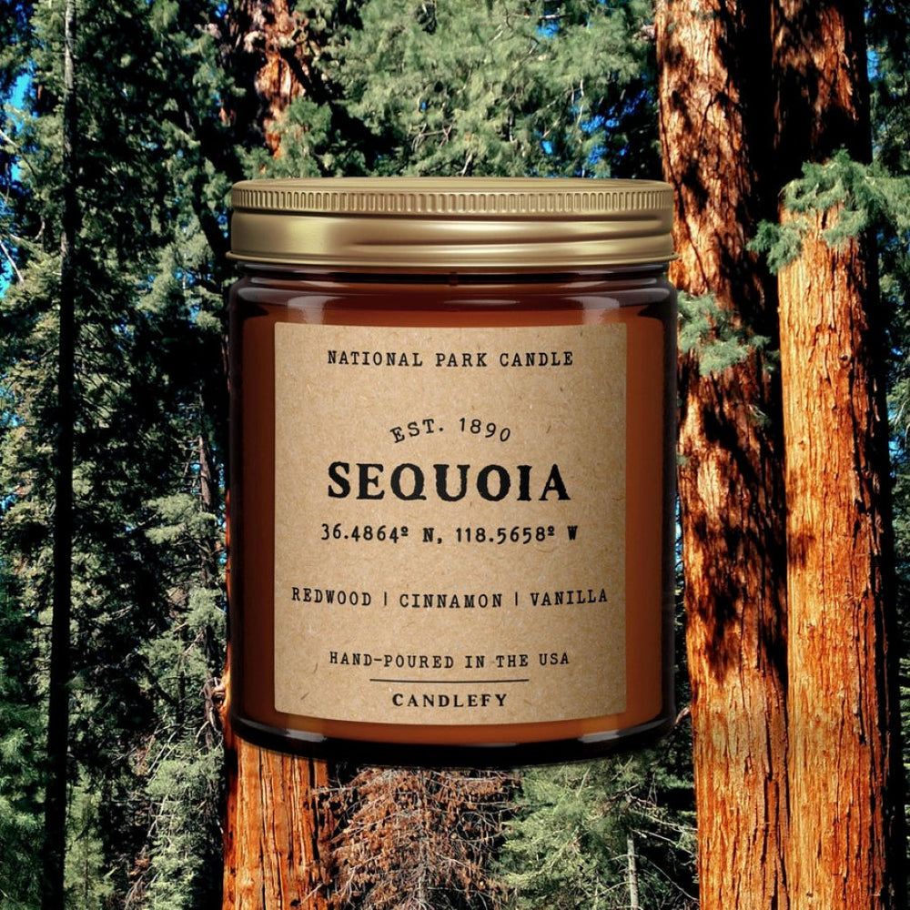 Sequoia: California Candle - Wanderer's Outpost