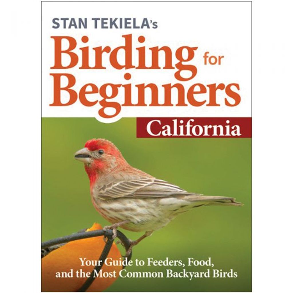Birding for Beginners: California - Wanderer's Outpost