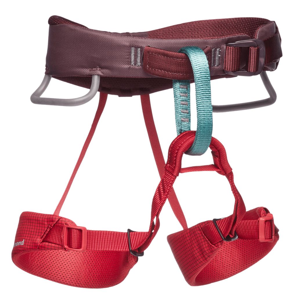 Kids Momentum Harness - Wanderer's Outpost