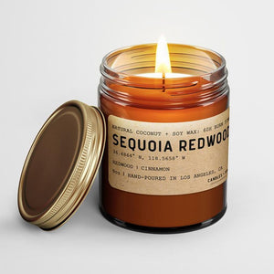 Sequoia Redwood: California Candle - Wanderer's Outpost