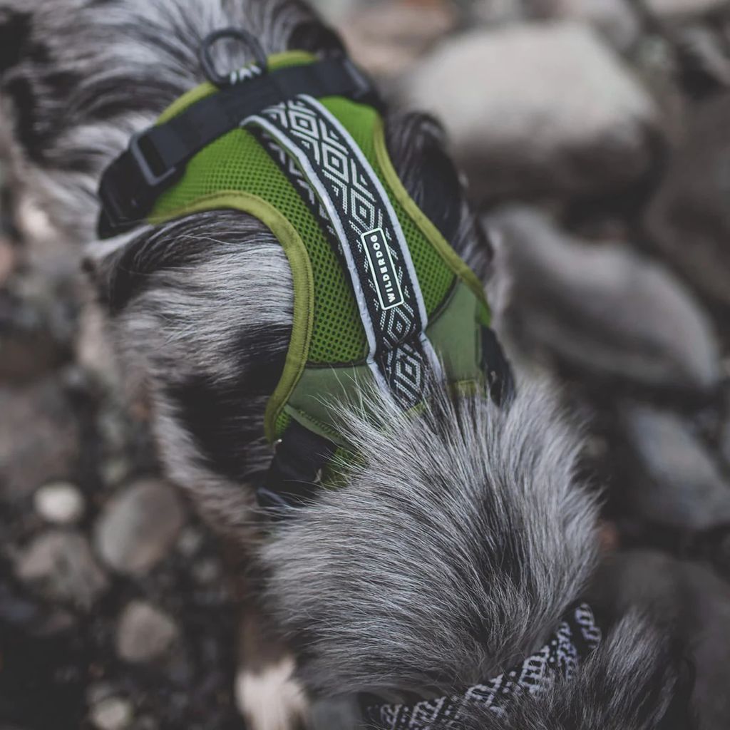 Wilderdog Harness Olive - Wanderer's Outpost