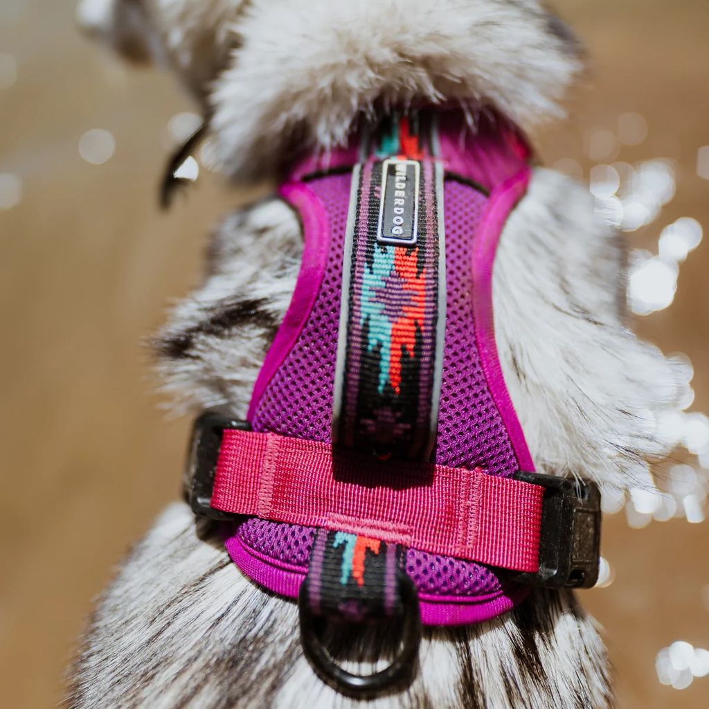 Wilderdog Harness Berry - Wanderer's Outpost